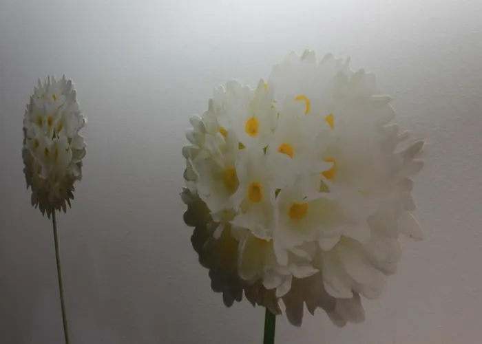 Via Jasna Pl Lägenhet Liptovský Mikuláš